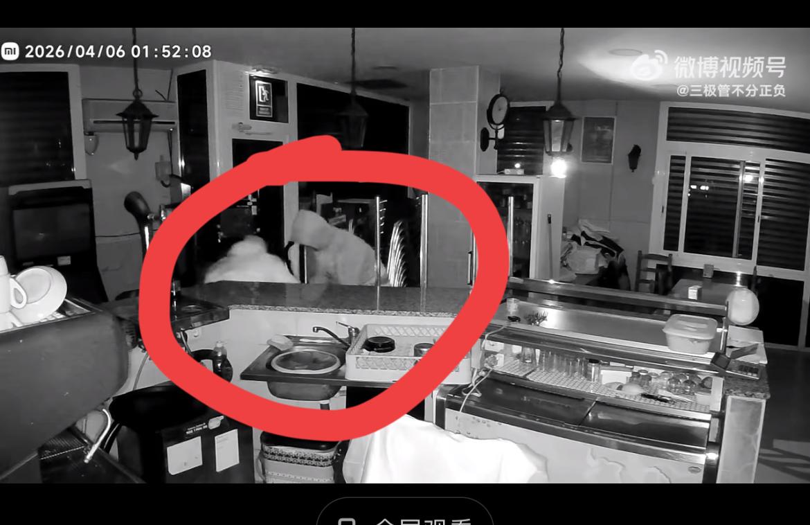 西班牙一华人博彩店被盗窃，比较悲催的是，这是一年以来的第 4 次，由此可见当地的