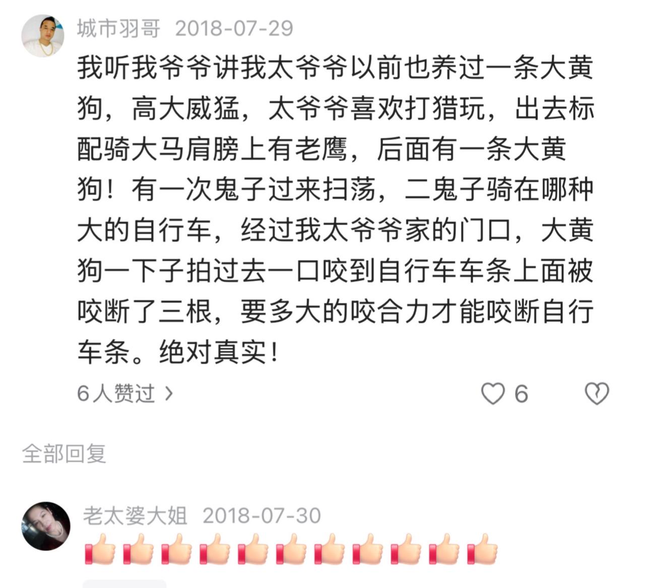 那个年代，连大黄狗都能分得清好人和坏人。太爷爷家的大黄狗勇猛咬断伪军自行车条的小