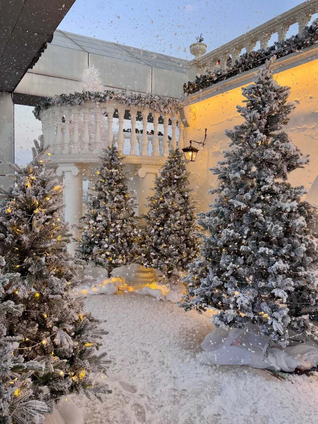 目前为止🎄❄️全西安zui好拍的圣诞树出现了！