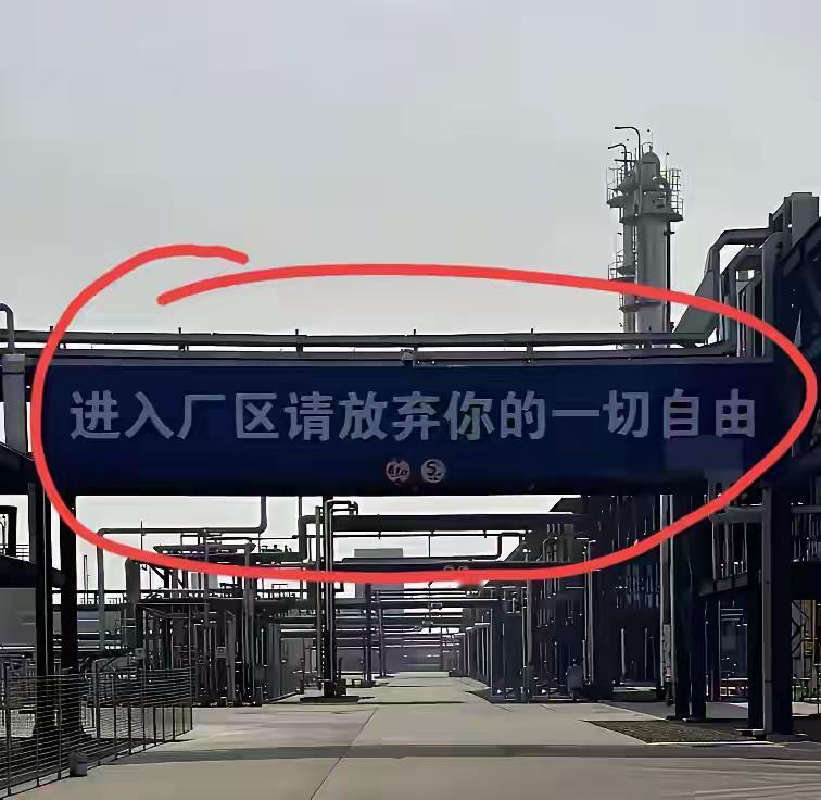 我天，厂区里都这么豪横了？进里面就得放弃一切自由吗？有人说，没有规矩不成方圆！厂