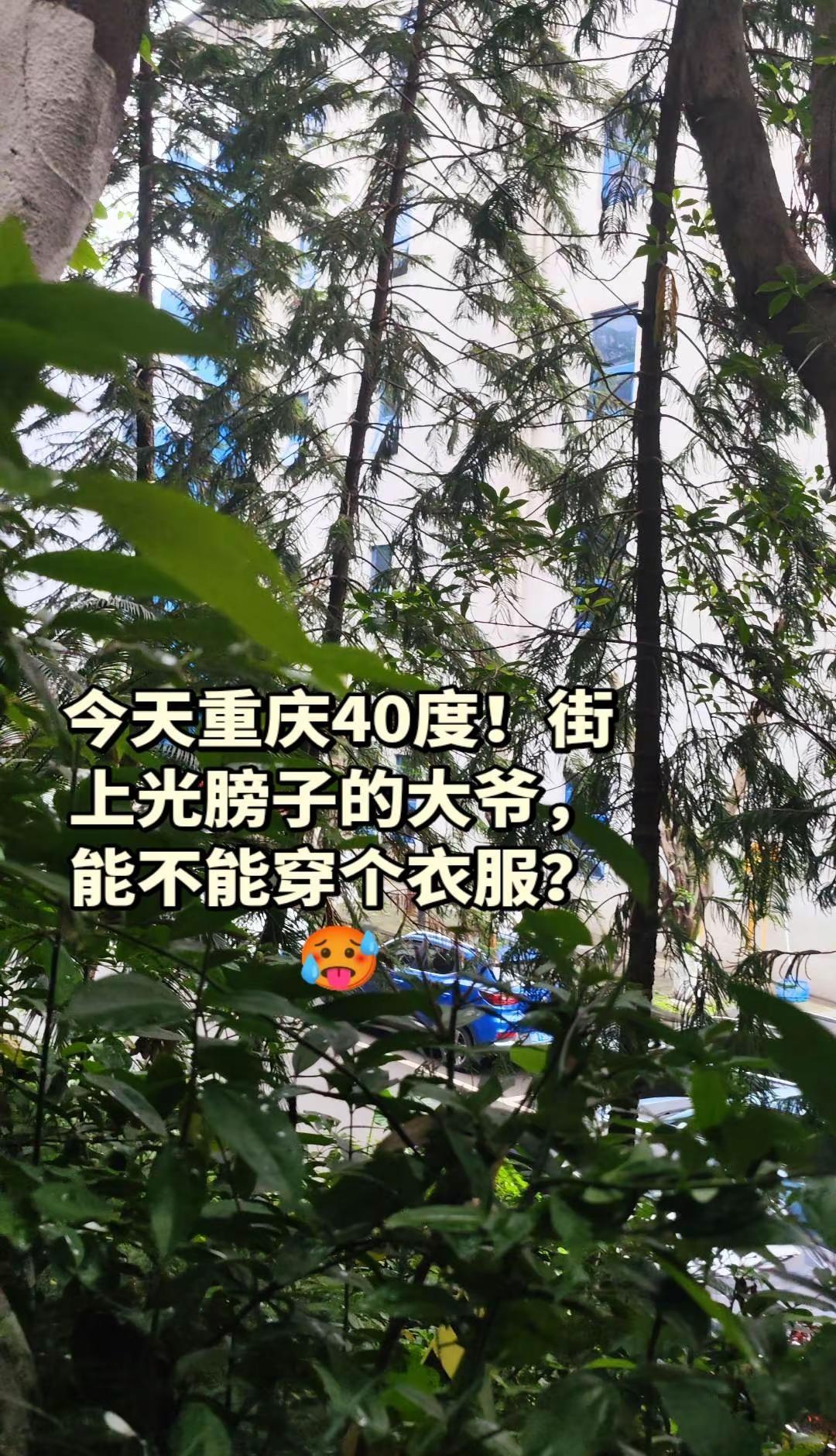 重庆热得遭不住，光膀子上街该不该管？ 今天重庆热得遭不住，我在街上看到一个老大爷