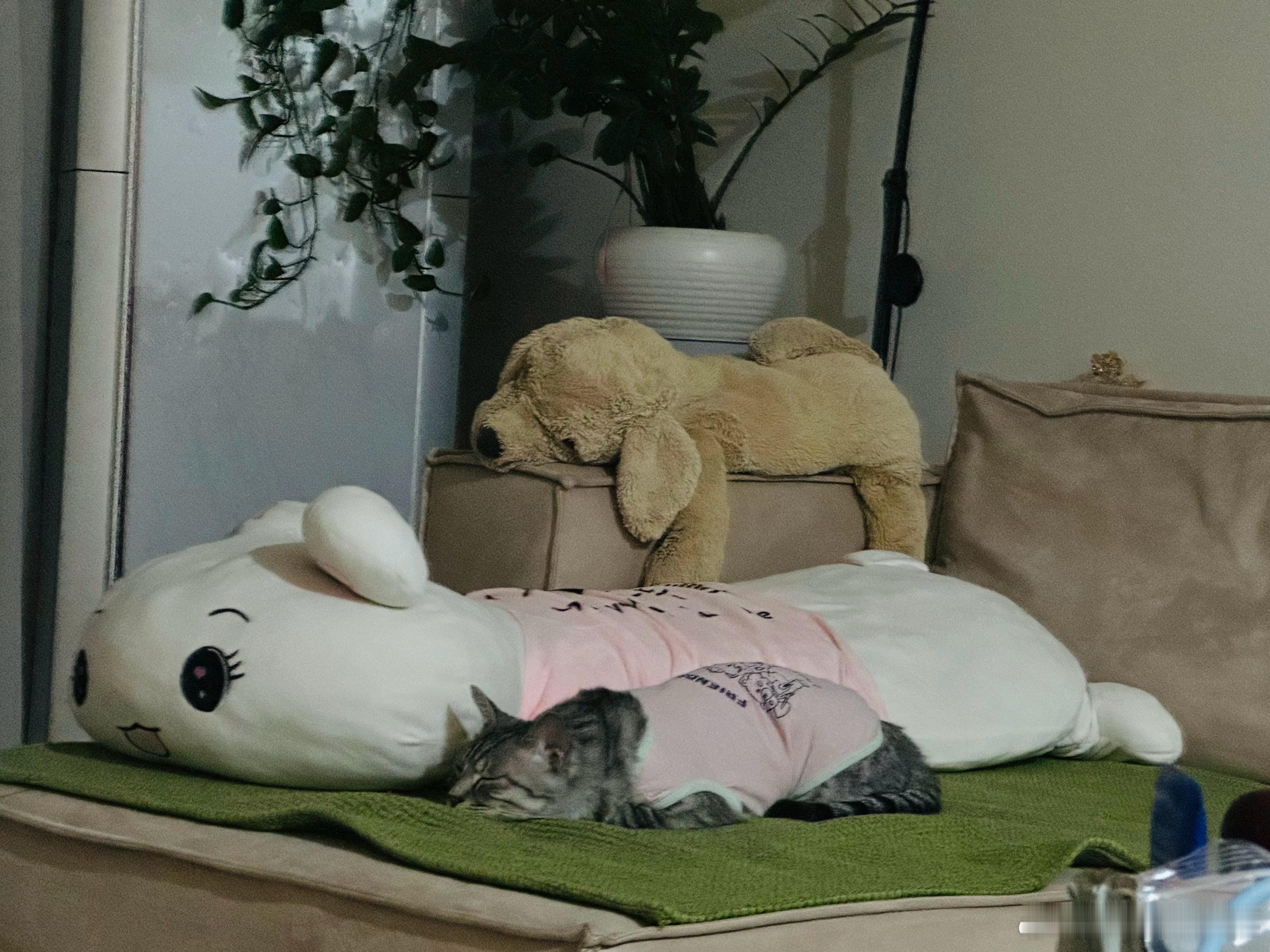 人生之所以困难重重的原因只有一个：德行不足。或者说：不宽恕之处太多。还可以说：对