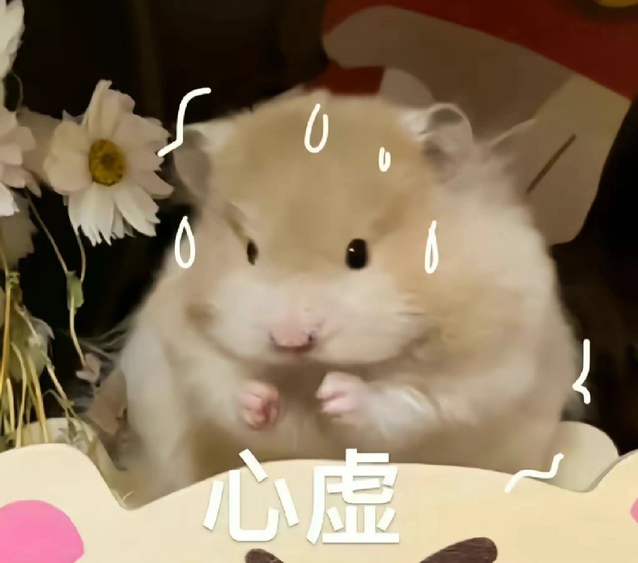 丰富一下表情包[送花花] ​​​