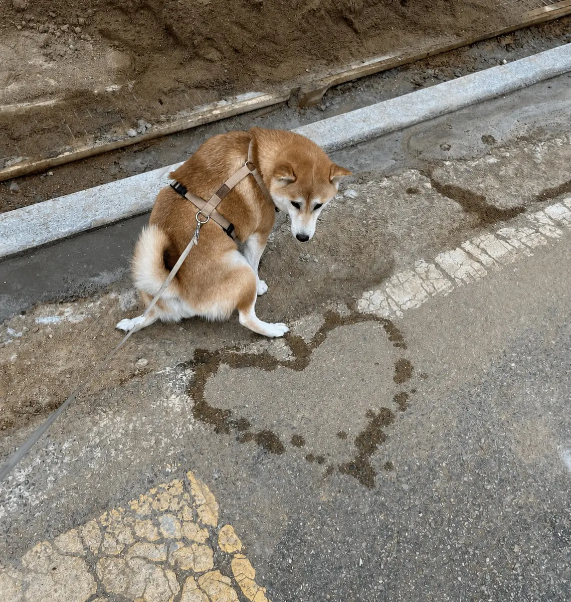 什么叫技术