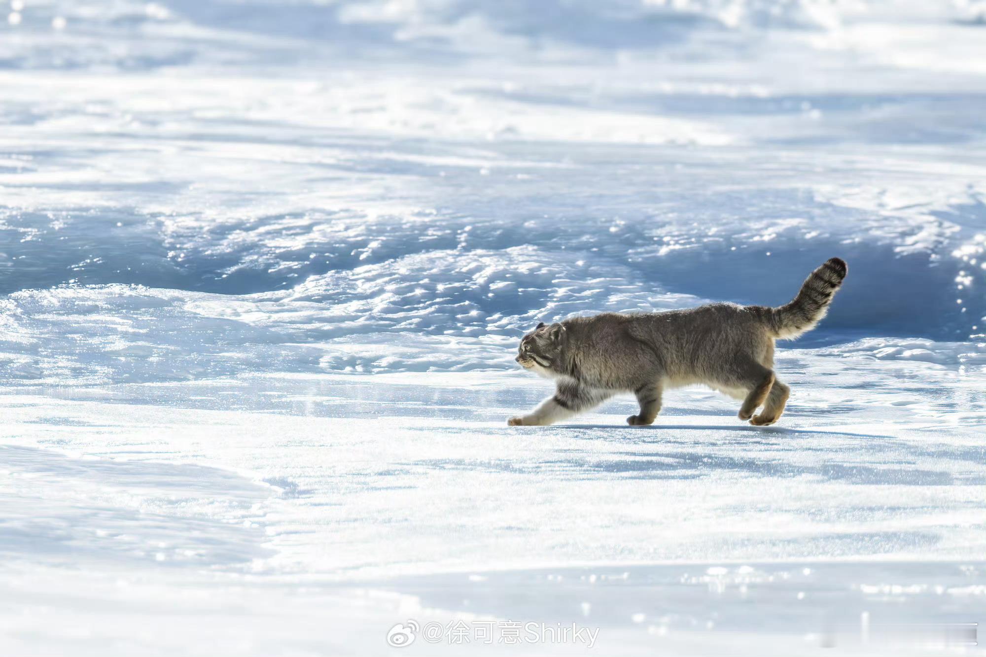 看完生命树想去青海了 原来风景的意义在于背后的故事和那些默默付出的人，想亲自去感