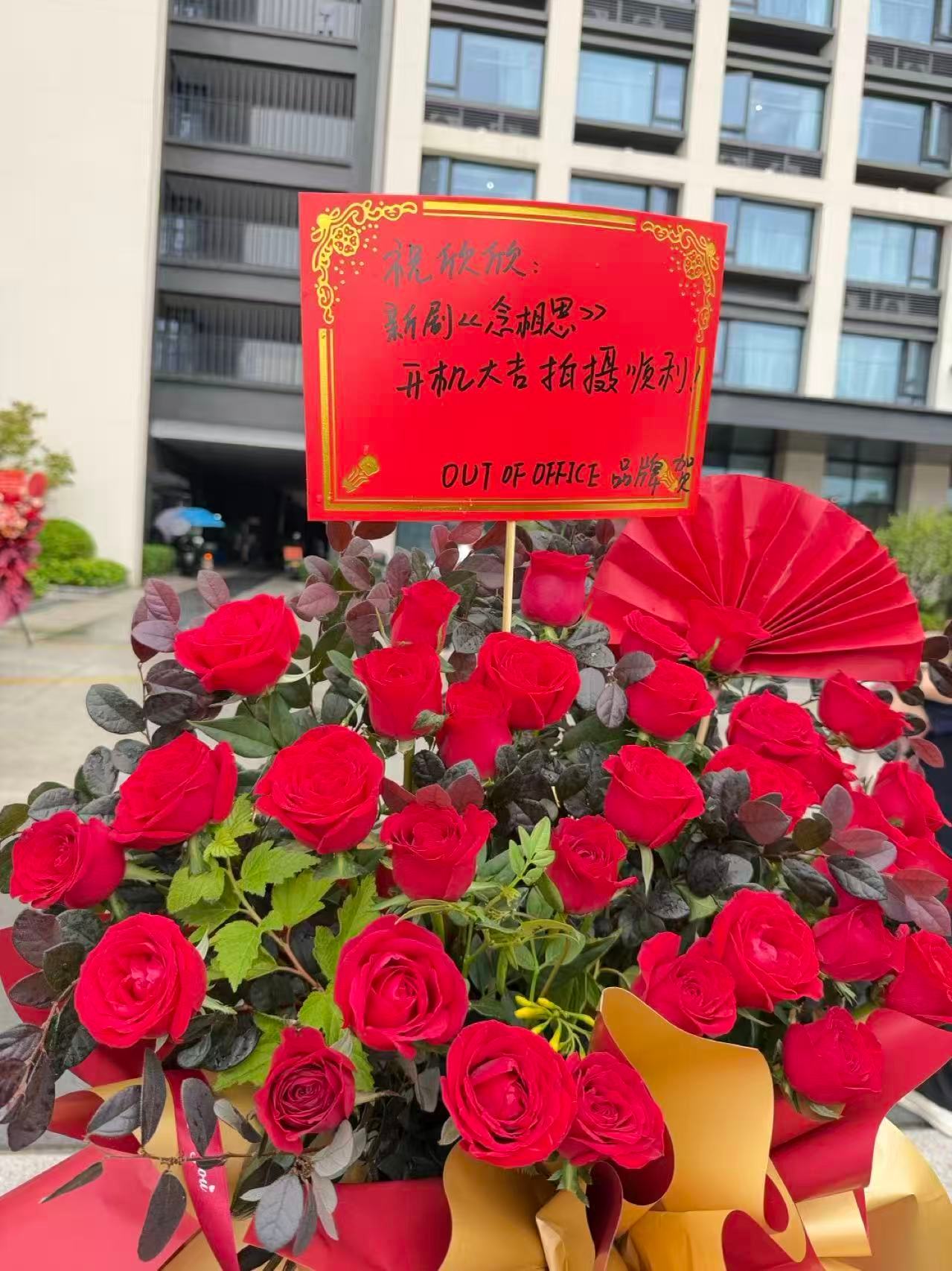 ilso、out of office给虞书欣送了花篮品牌霸霸的宠爱真是藏不住了祝