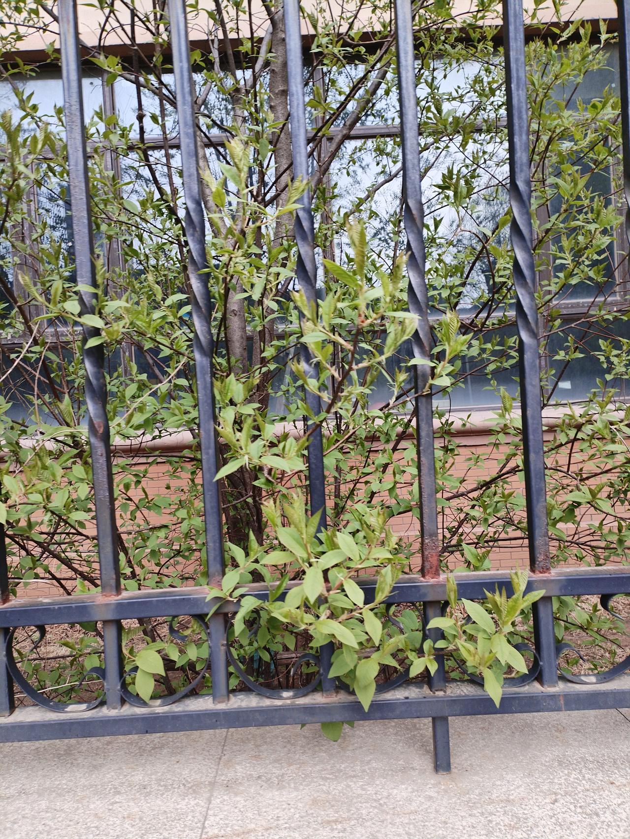 你认为人生的终极意义是什么有人懂你的言外之意，疼你的欲言又止。被看见、也看见别人