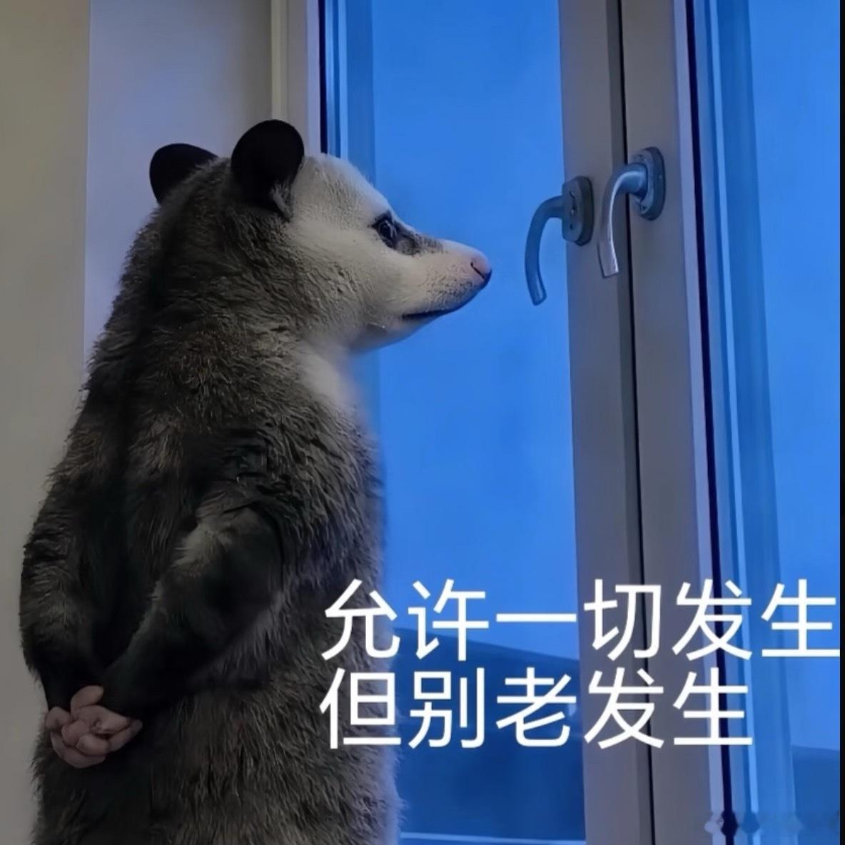 我真的服了，突然想把杯子拆开洗干净一点，结果把吸管的密封条弄掉了，现在水根本吸不