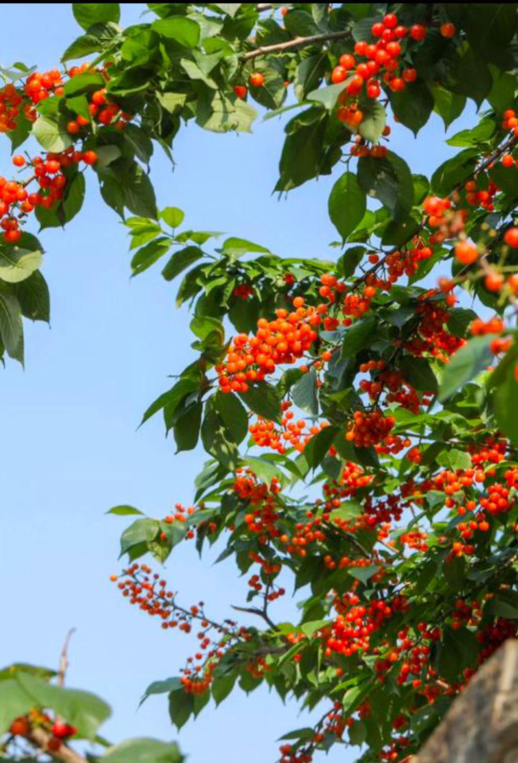 男人为何出去旅游不爱带上自己的老婆呢？楼下的老张又驾车出去旅游了，依旧没带老婆，