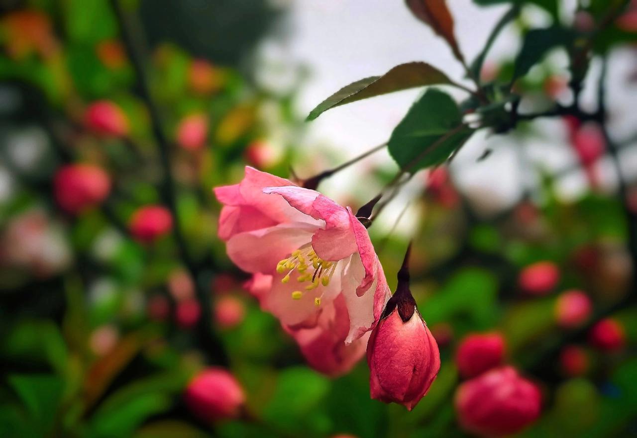 为什么要上老年大学？这四个理由一个比一个重要

2.在学习中重拾年少时的梦想
