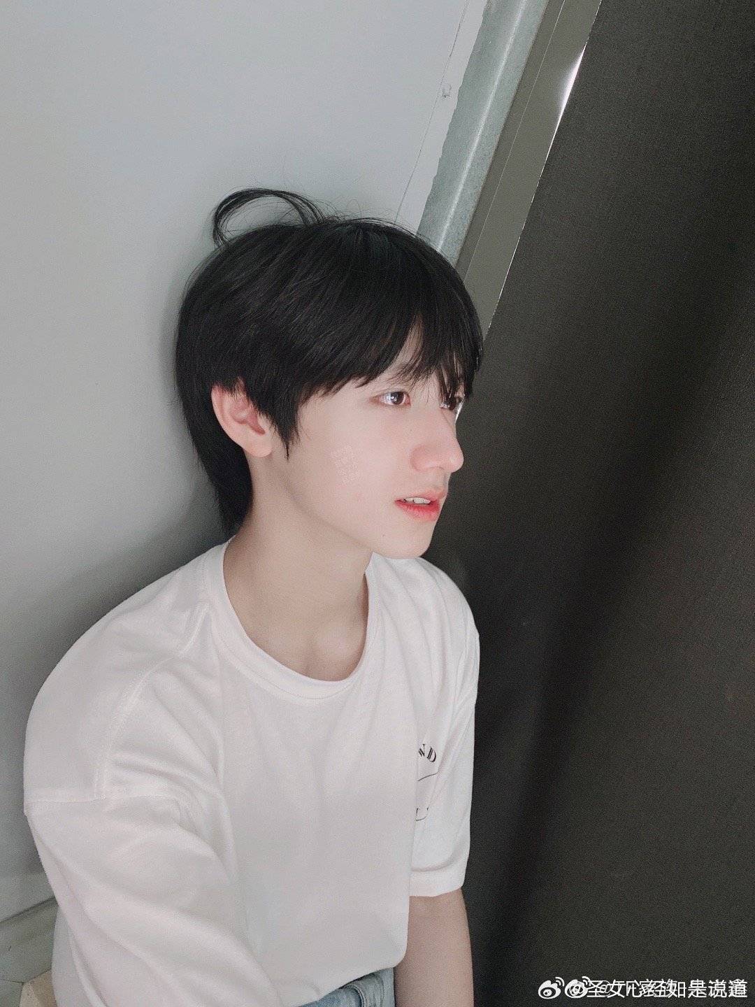 但是这张很萌很萌呀，头上的小芽芽也很萌呀🌱 