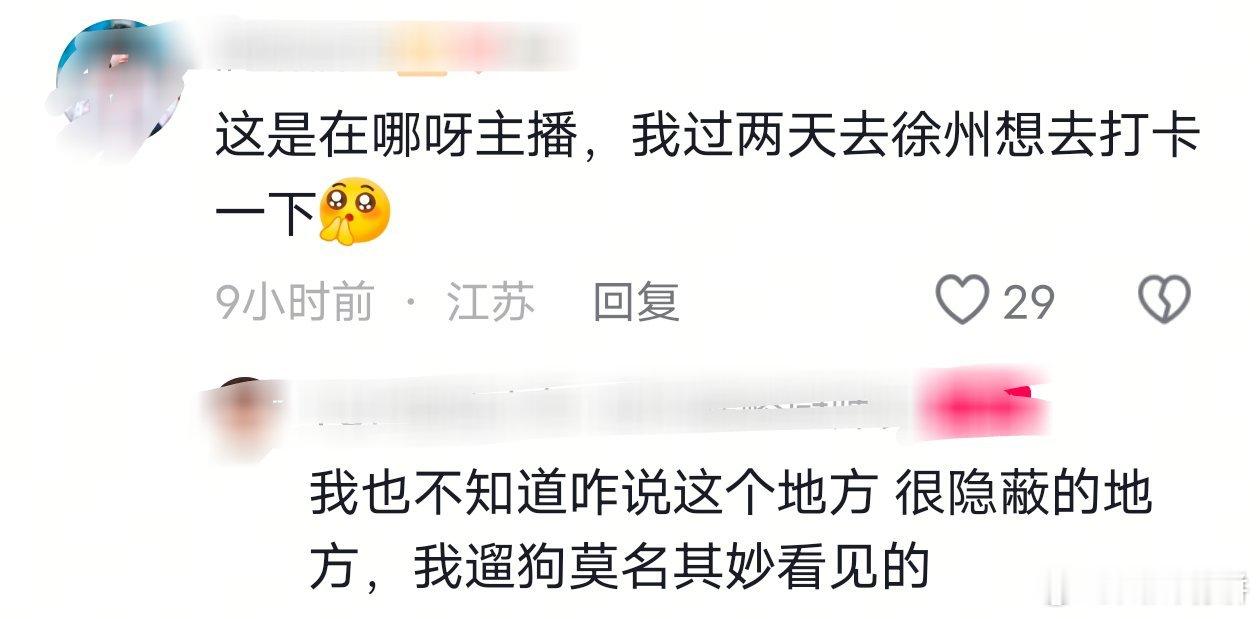 那还说啥了，苏新皓C位 