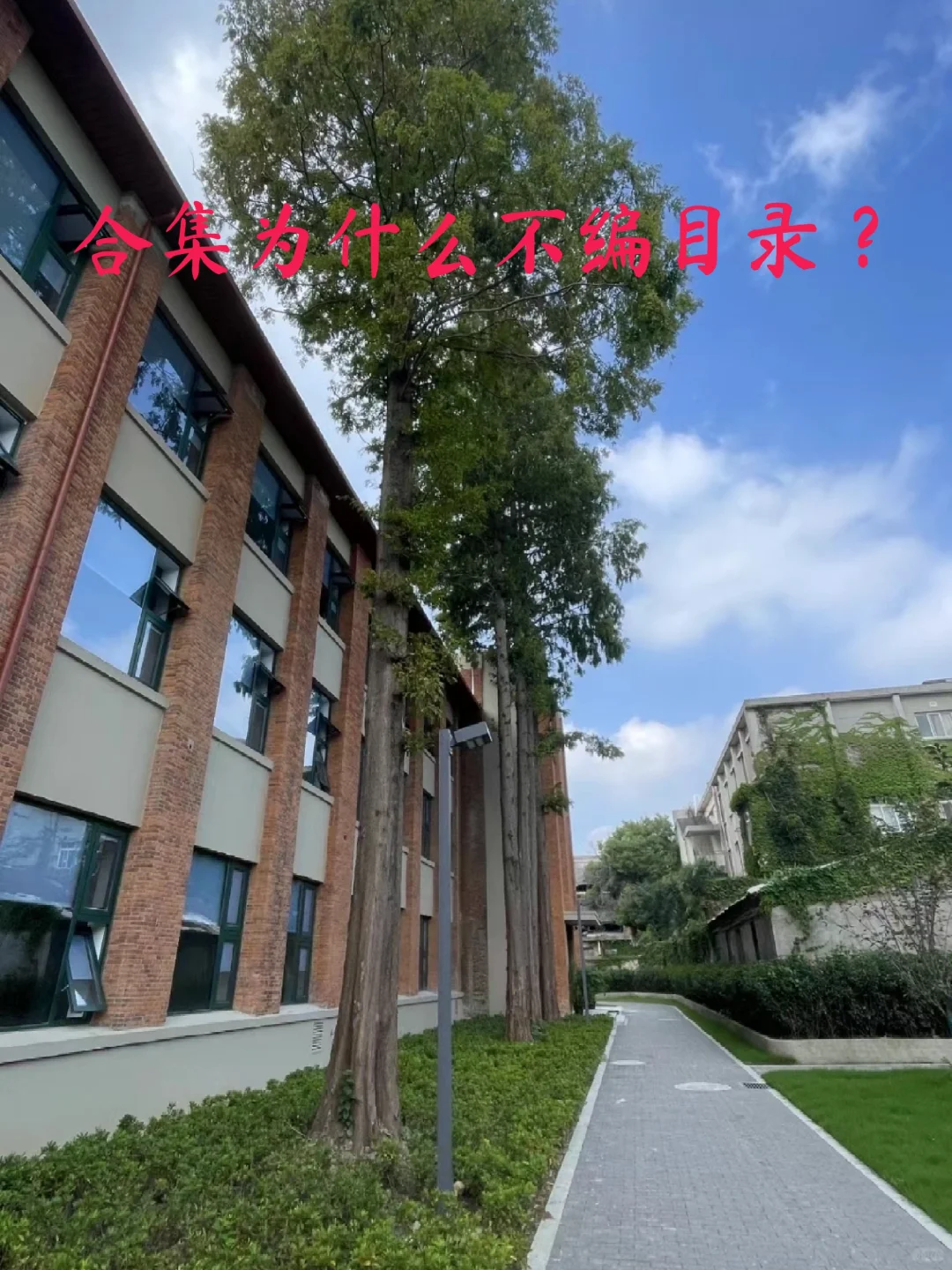 解答一下宝子们的疑惑