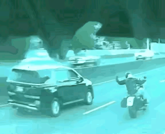 碰到狠人了，挑衅的结果惨不忍睹！