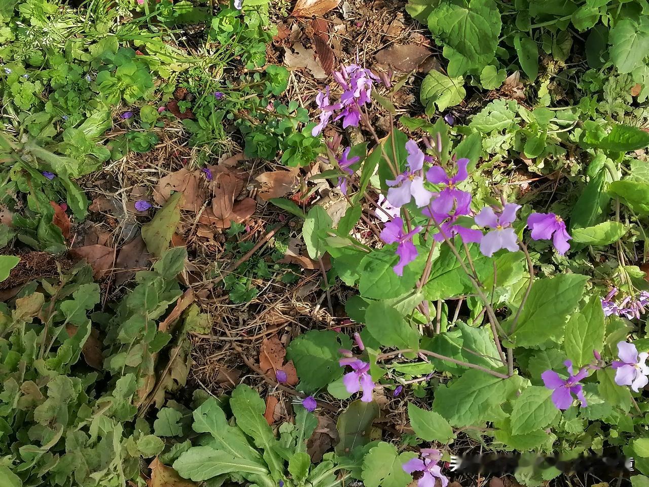 普林斯顿大学心理学教授埃尔德·沙菲尔在他的著作《稀缺》里把这种现象称为“管窥”，