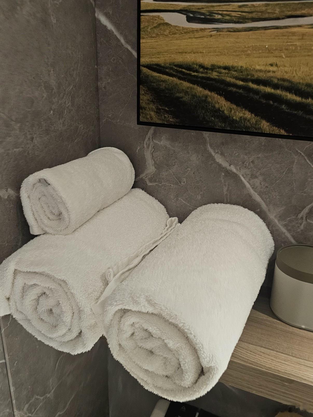 讲真的我出门在外都要带上一次性毛巾，总感觉不管多大的酒店，就算是酒店消毒步骤非常