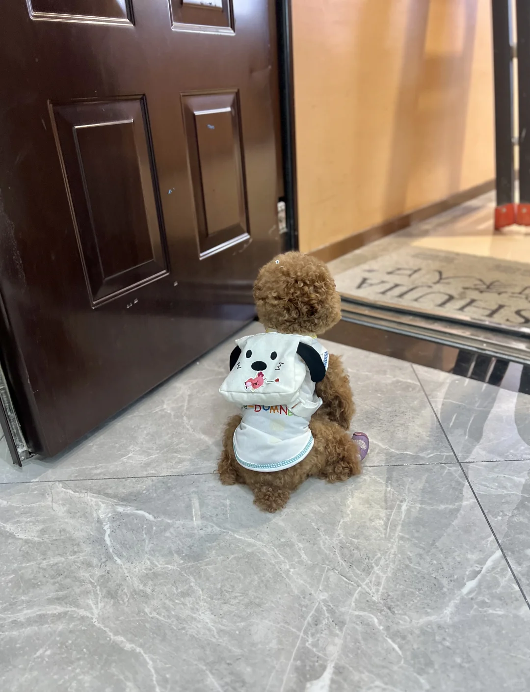 幼稚园的车怎么还不来接宝宝～