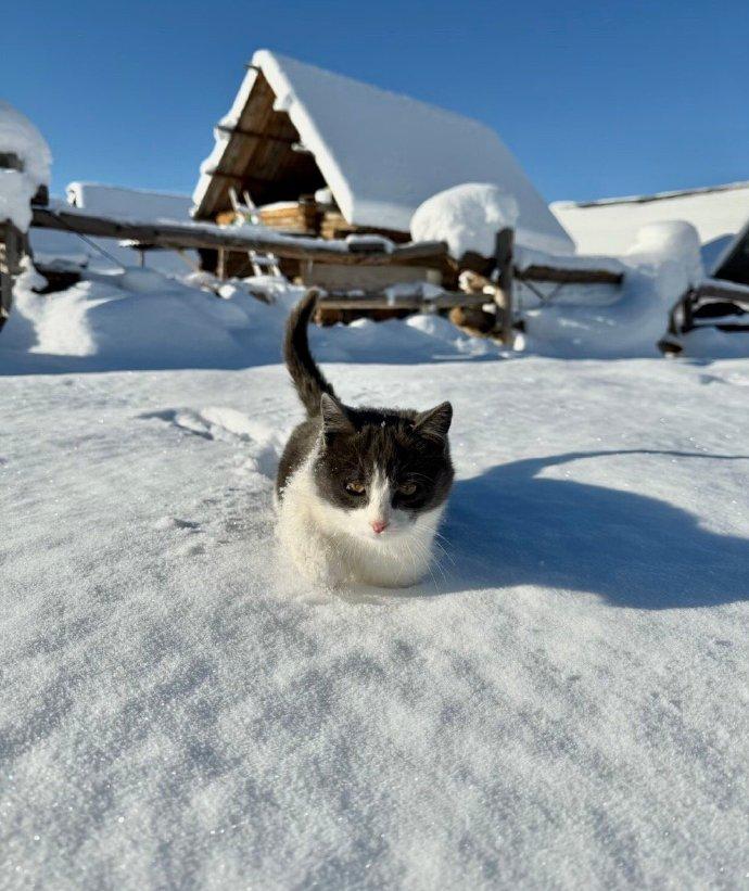 冬天要去有雪的地方待待！去感受一下什么叫寒风刺骨！
每次出行和不同的人对话，都能