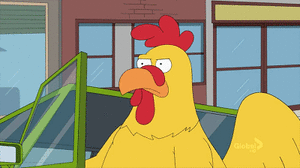 我说有的鸡别一天天放出笼，啄到人就不好了！话说，养鸡户有没有依法纳税？