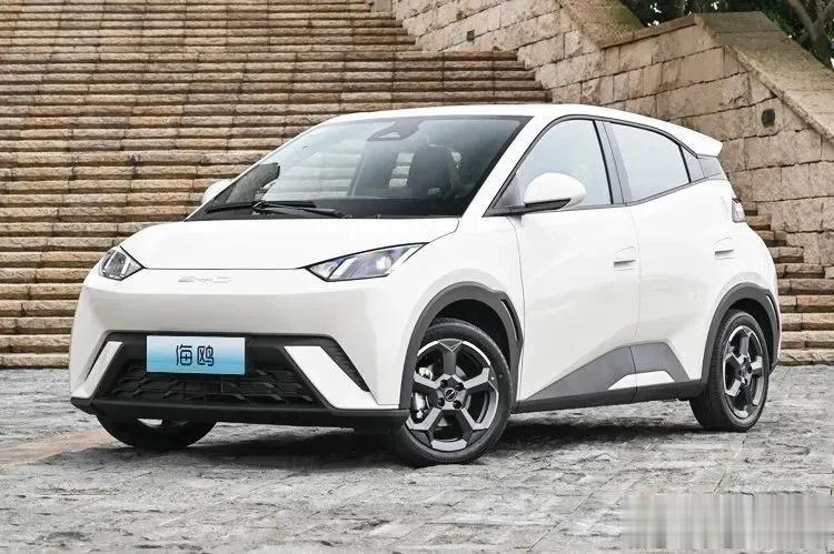 10万元左右，比亚迪海鸥、五菱缤果、零跑T03，还有台燃油车飞度，不知道怎么选？