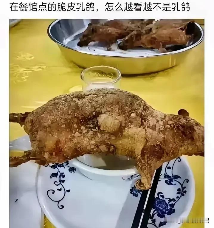 你看吓人不，
有人在餐厅点的乳鸽，
大家看看这像乳鸽吗？
怎么看，
都有点眼熟，