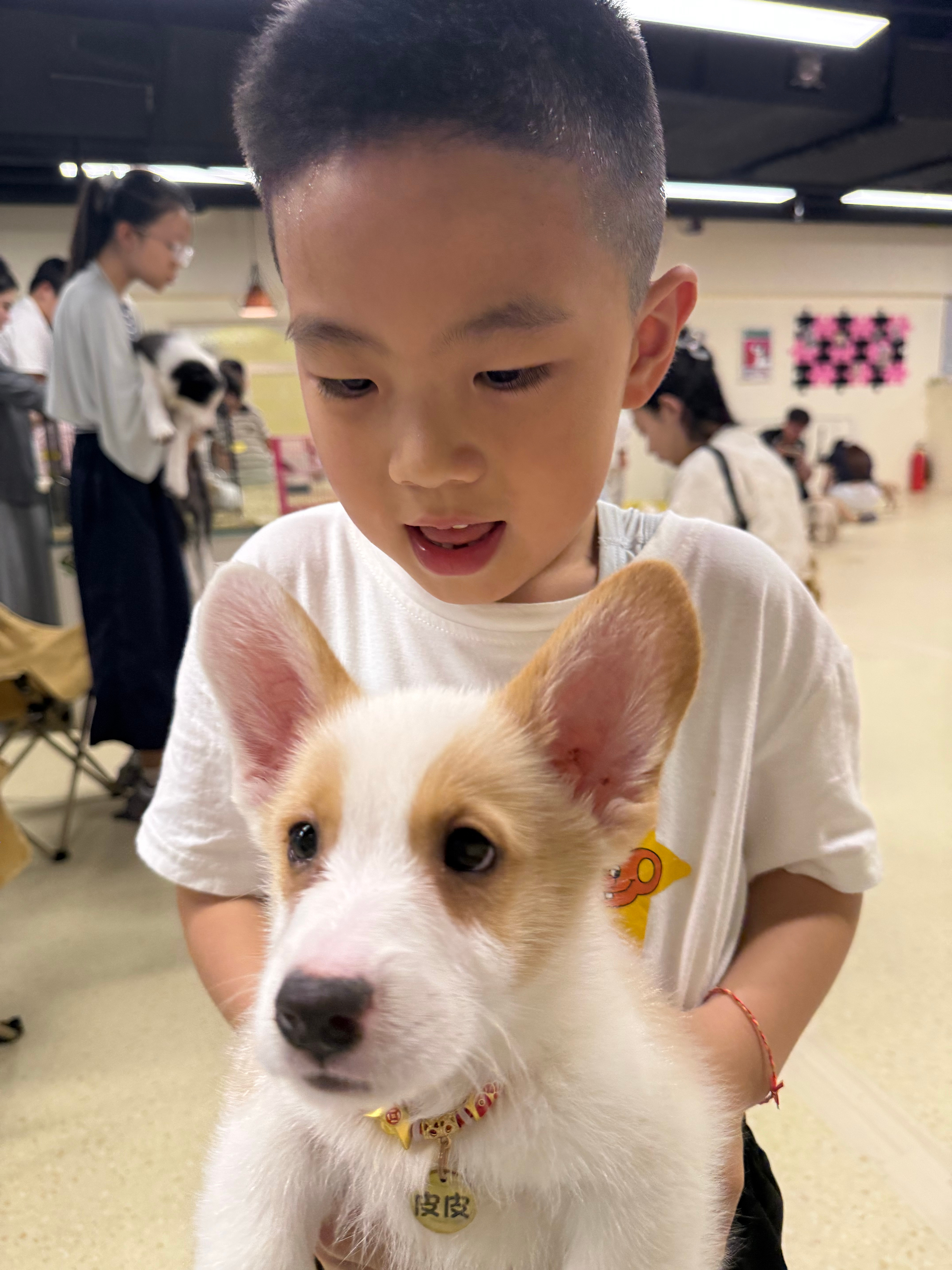 昨天疯狂幸福吸娃 吸狗今天歪打正着买了一对不爱叫 还天天下蛋的小鸡🐤嘿嘿嘿！开