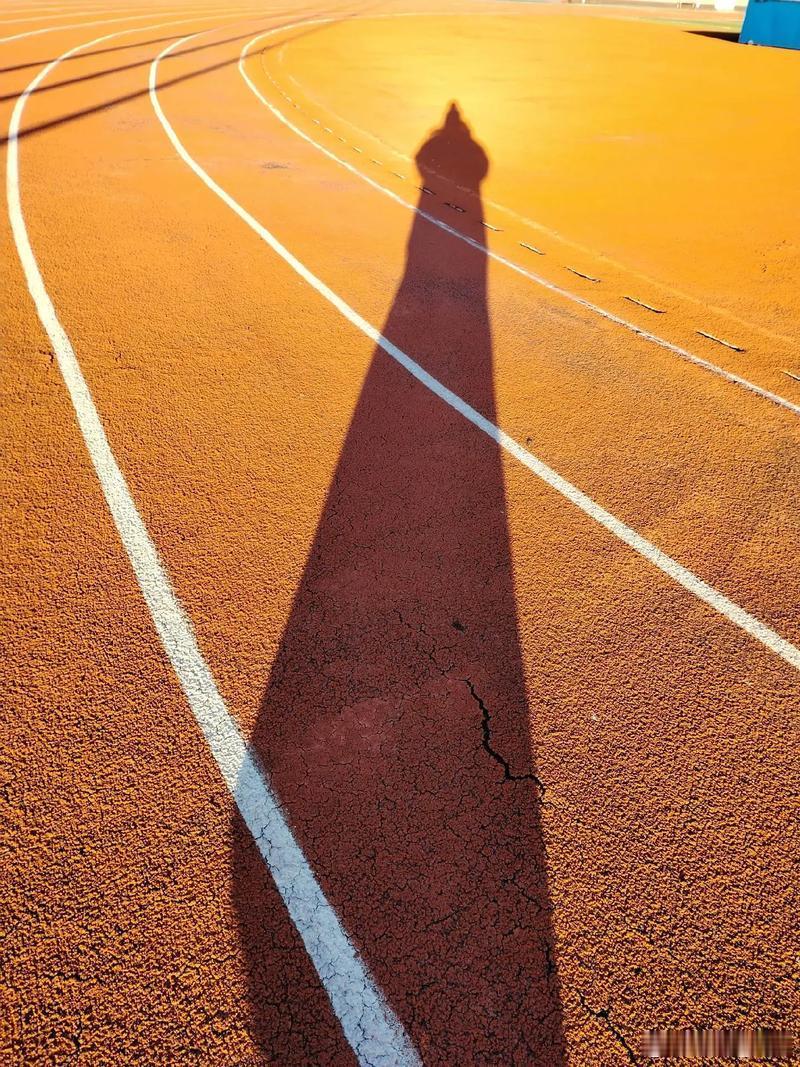 核心拆解：冬至「阳藏至极」的本质+中医底层逻辑这篇内容用《周髀算经》圭表测影，把