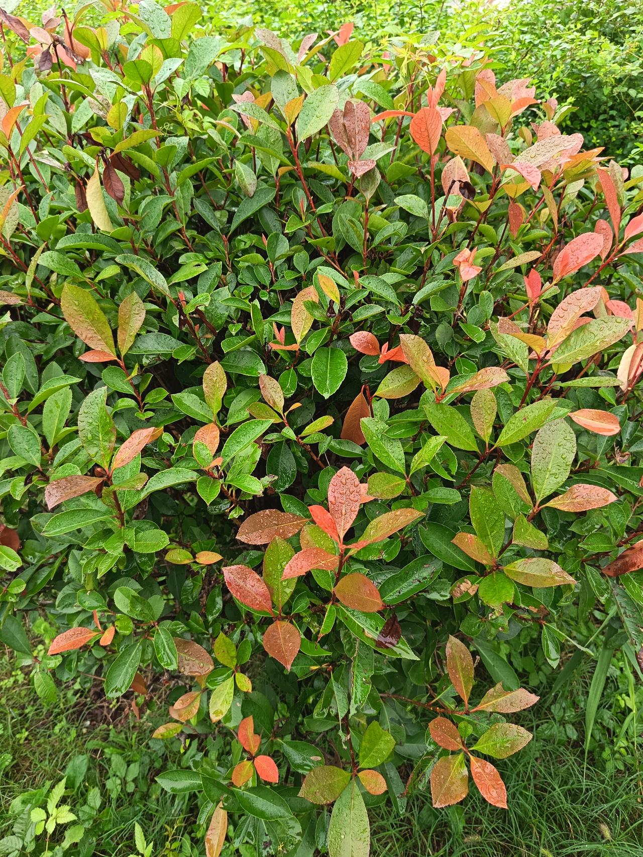 昨天吃喜酒，一位事业单位老领导沾沾自喜地告诉在座的同桌朋友，今天他要领到一笔近5