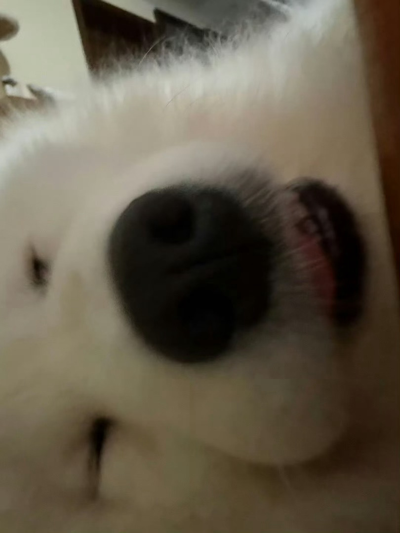 高考真是给孩子累坏了