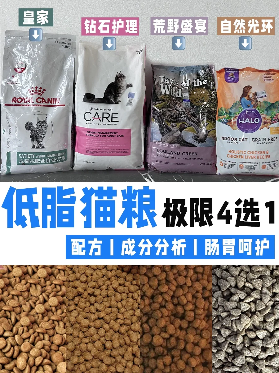 低脂猫粮选哪个❓4款低脂护肠胃猫粮测评
