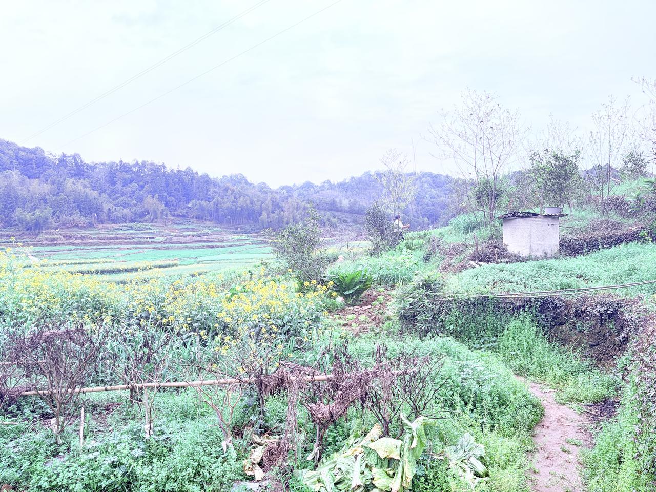 “去世后撒入大海是最大限度给自己体面”一位老领导退居二线感悟，上个月改非四级调研