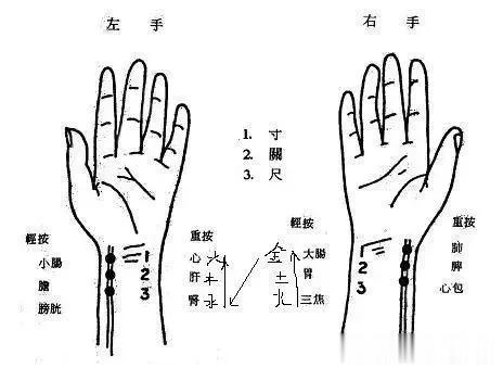 #你信仰中医吗#
        我非常信中医，我的头疼病就是吃中药好的，还有更