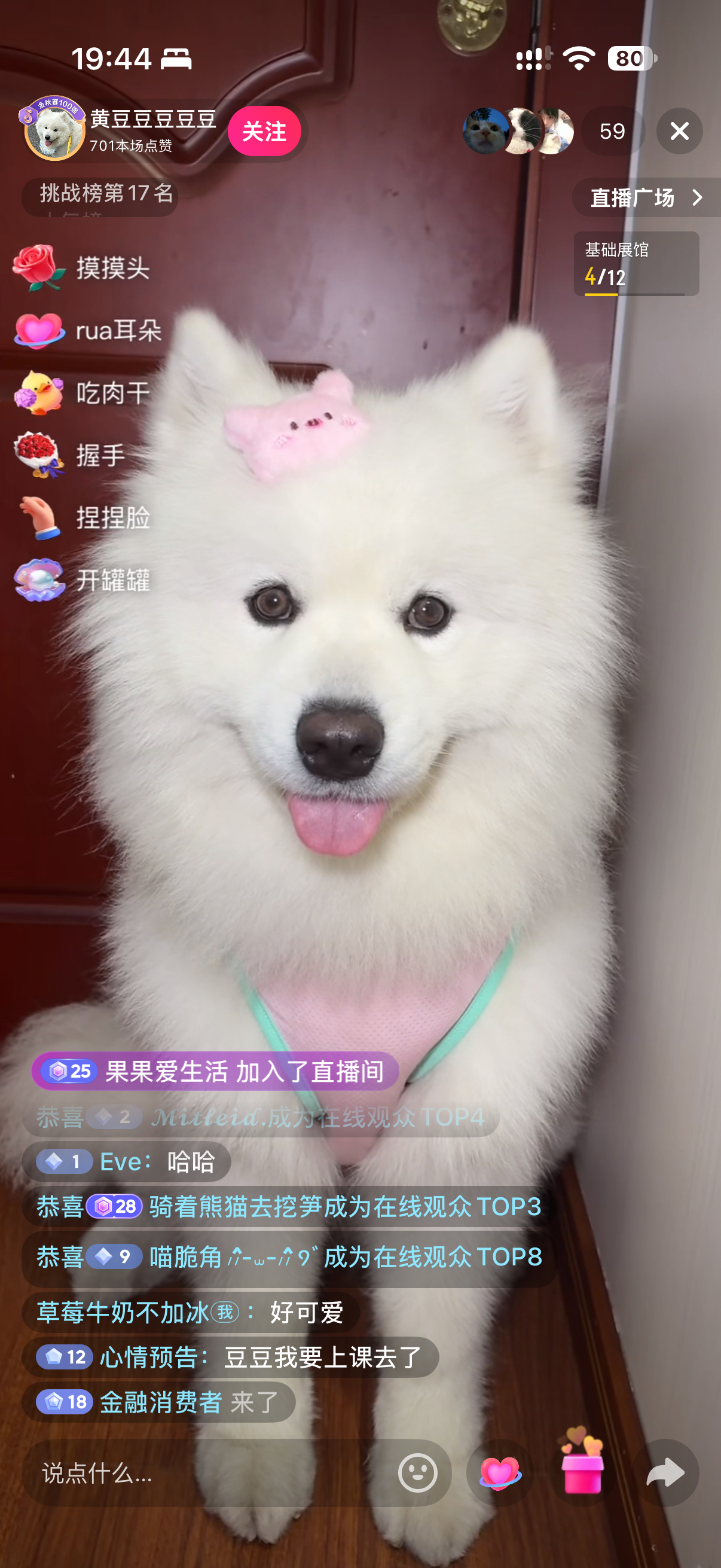 俺不行了别人在看什么直播 我在看萨摩耶直播怎么会有这么可爱的小狗 ​​​