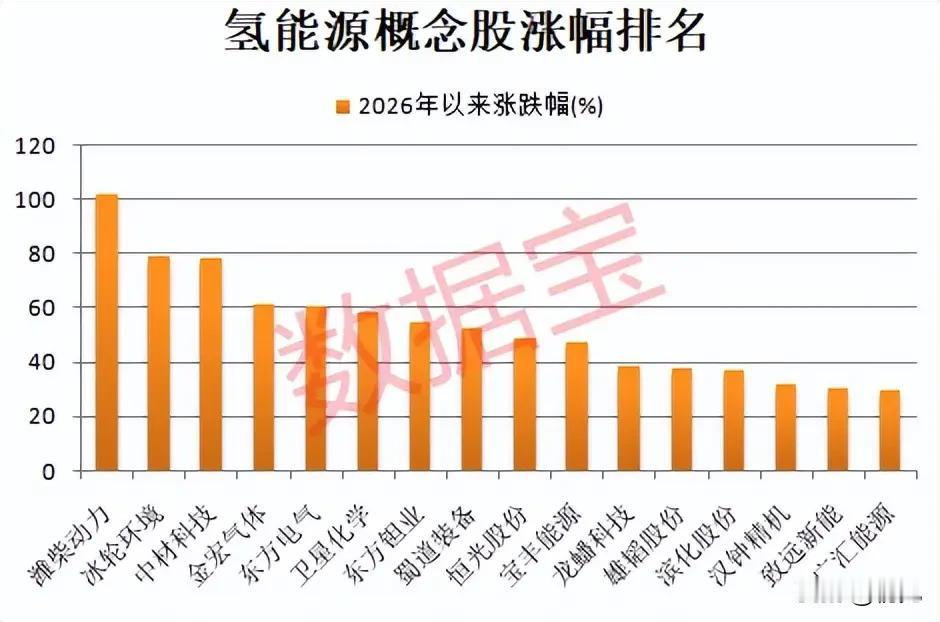 氢能概念股涨幅榜出炉！16只个股领跑，谁是最强王者？
 
2026年以来，氢能概
