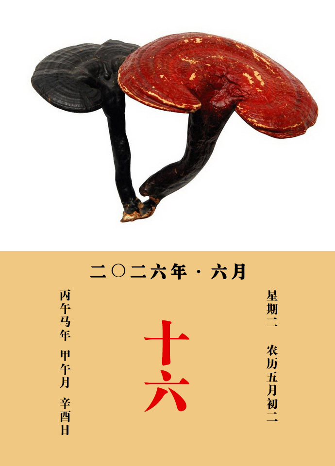 每天一味中草药 邹澍说：芝之为物，经传所称不一，若《尔雅》之“苬芝”，《说文》之
