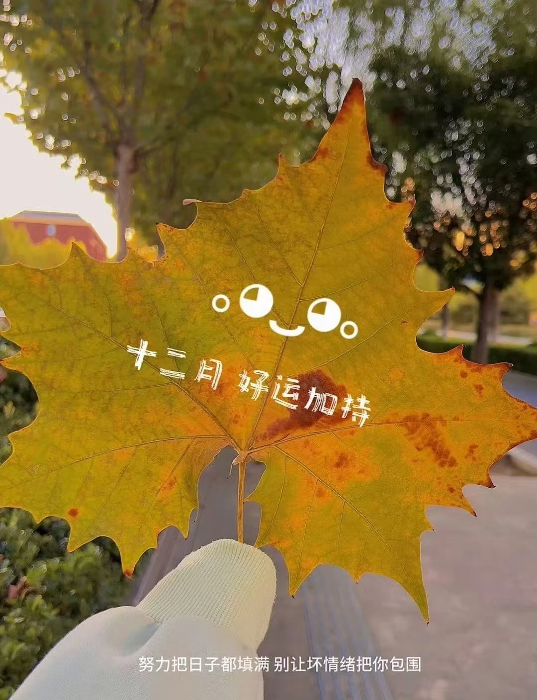 心之所向，便是阳光，无所畏惧，便是远方。没有努力会白费，你今日撒下的所有种子，终