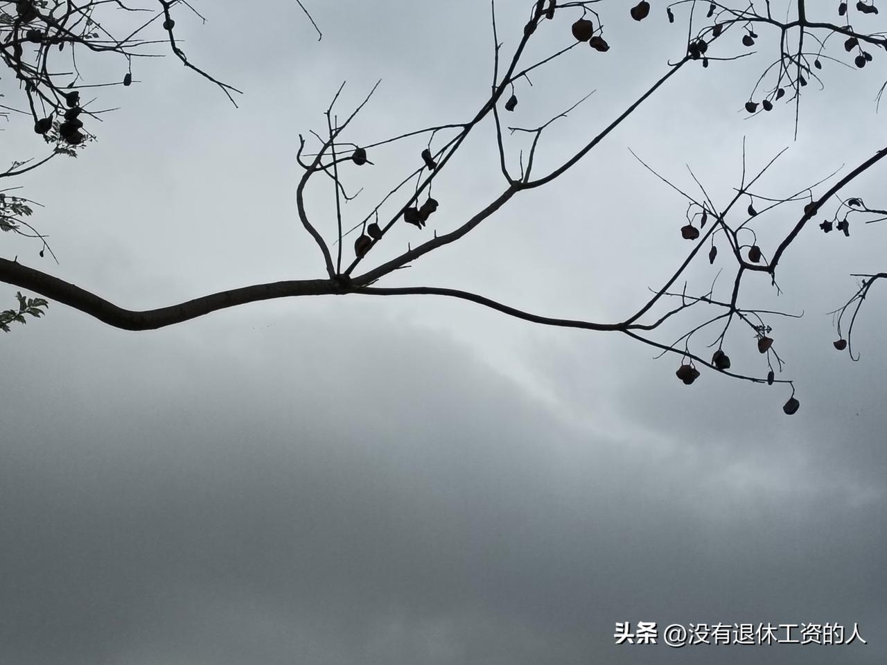 遇到这样的朋友，赶紧断绝关系吧！

一女子生病来上海就医，朋友好心让她来家里居住