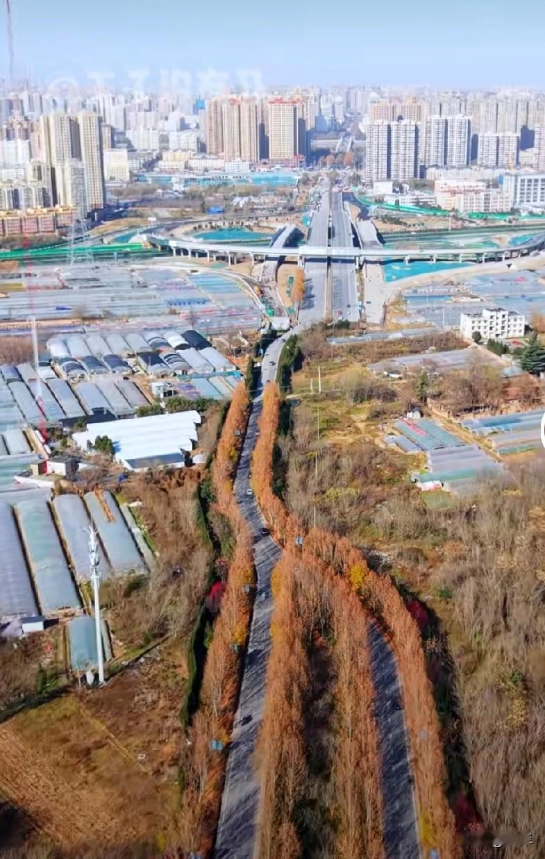 秦皇南路到沣西沣邑大道这条路有一段肠梗阻，搞不明白是什么原因不让好好修通道路，非