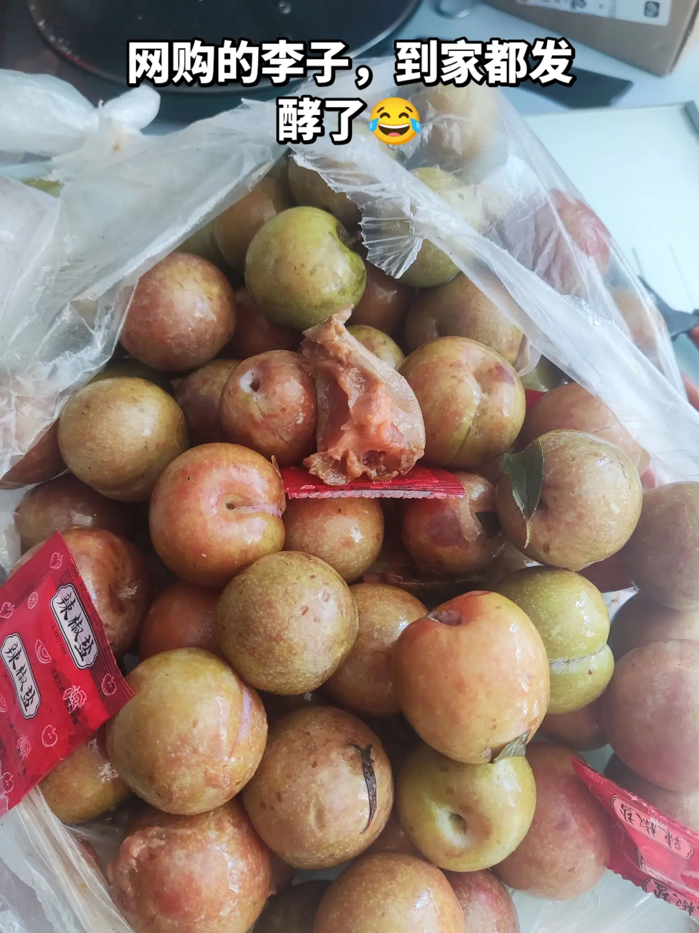 李子。