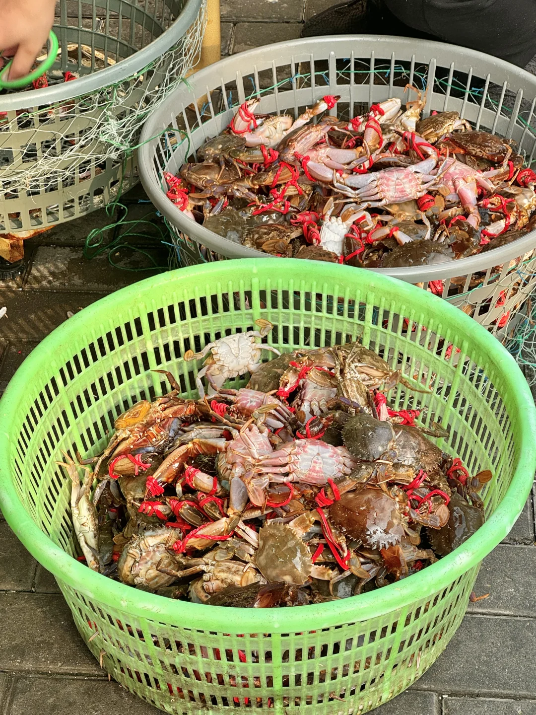 放在整个青岛都是非常炸裂的存在…