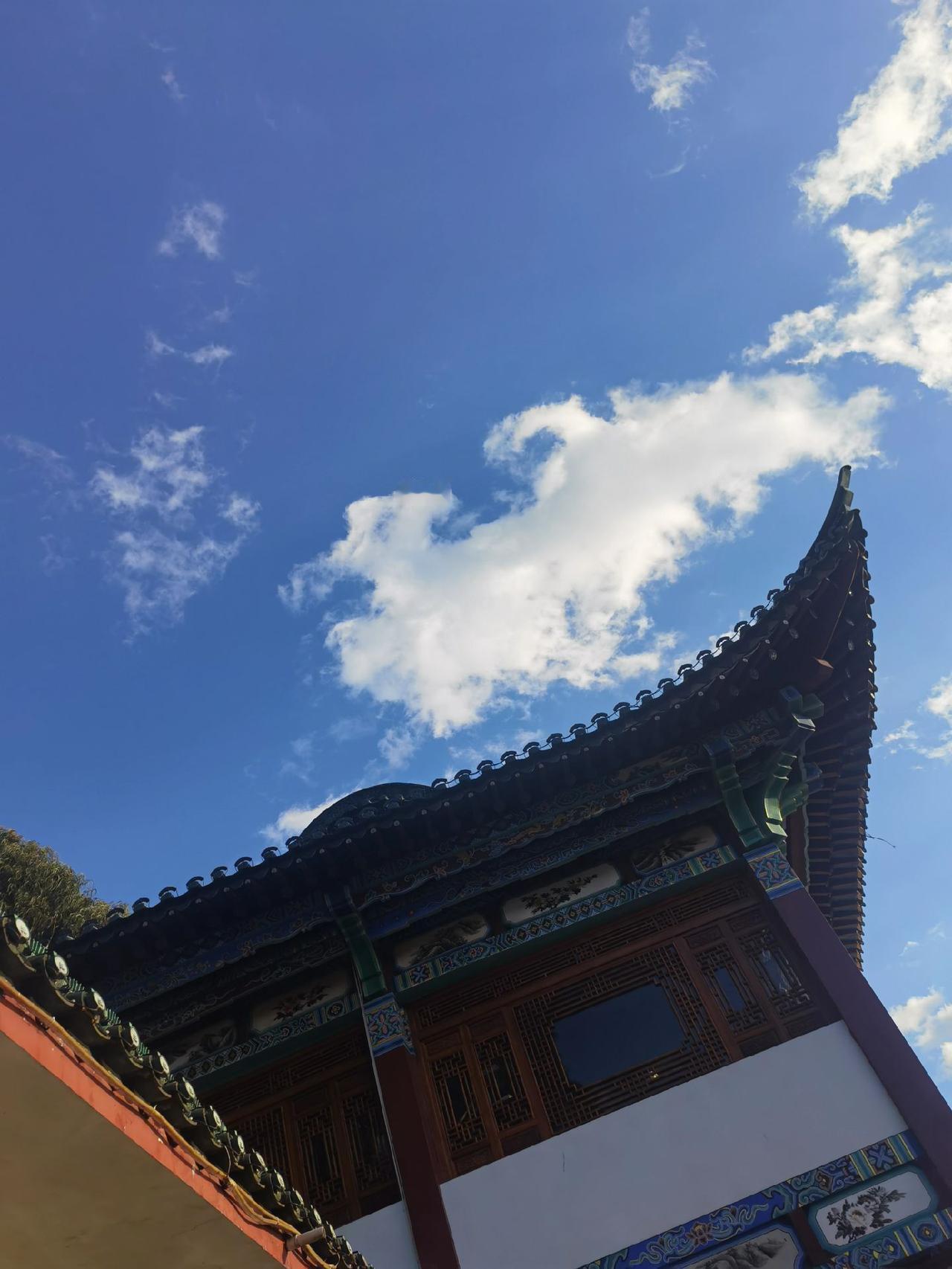 回复 @虎斑斑的评论 看了大家的评论，真是不知怎么说好……挑这一条回复一下吧！因