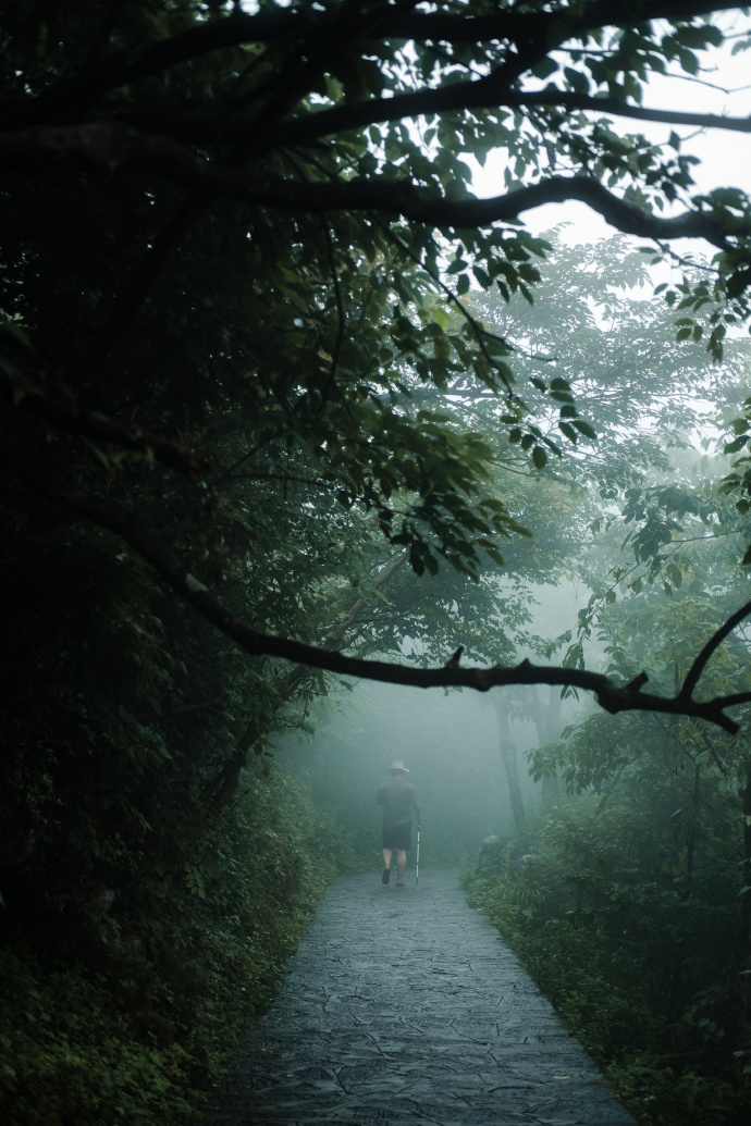 排除所有不可能的，剩下的那个即使再不可思议，那也是事实。 丨福尔摩斯 