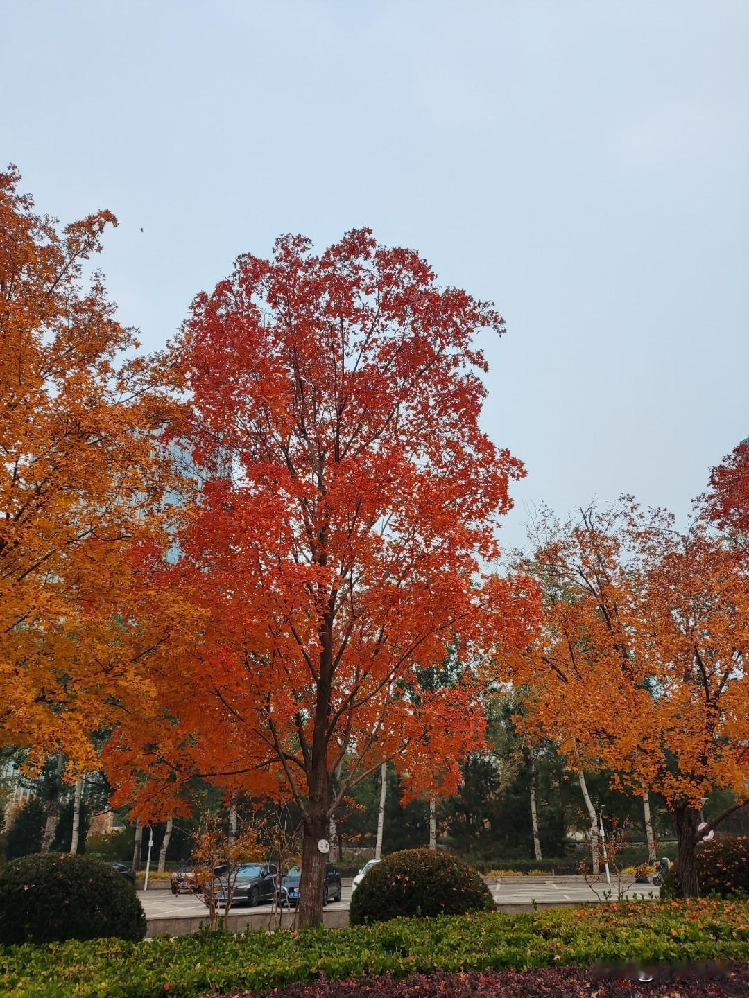 达州是四川省的一个地级市，除了前面提到的内容，以下再为你介绍一些关于达州的信息：