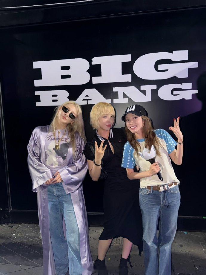 Bigbang2ne1合照2ne1去看了bigbang演唱会 在Bigbang演