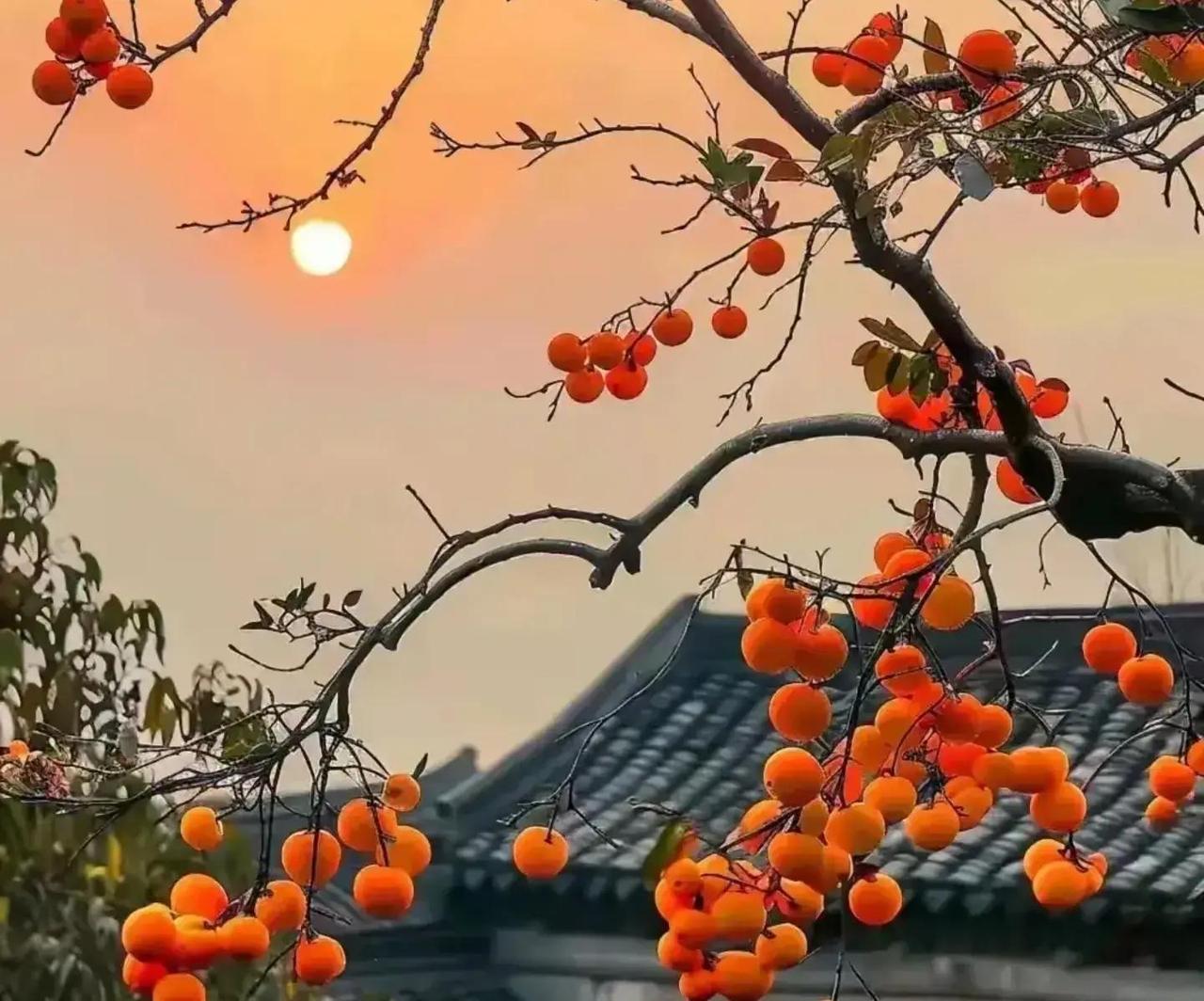 成年人之间，越用力抓越容易散，这事越来越常见。

2025年调查显示，中国青年群