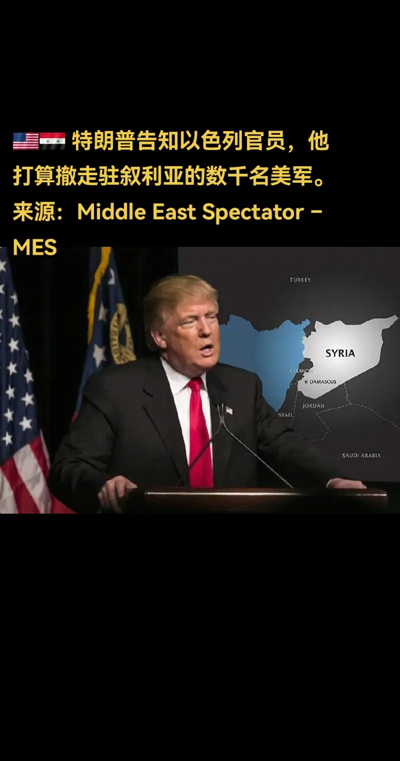 🇺🇸🇸🇾  来源：Middle East Spectator – MES