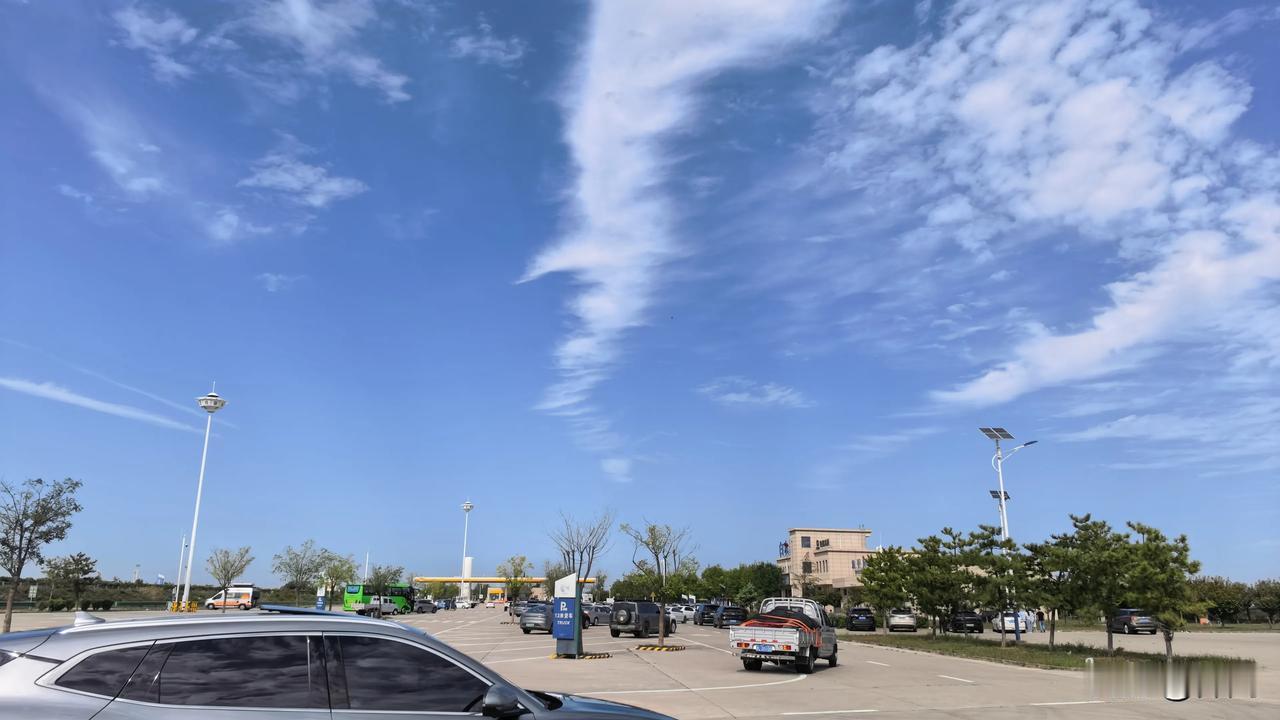 【七绝·大雁南征】
大雁南征菊已黄，
蒹葭带絮染重阳。
拾来露白清闲煮，
慢赏秋
