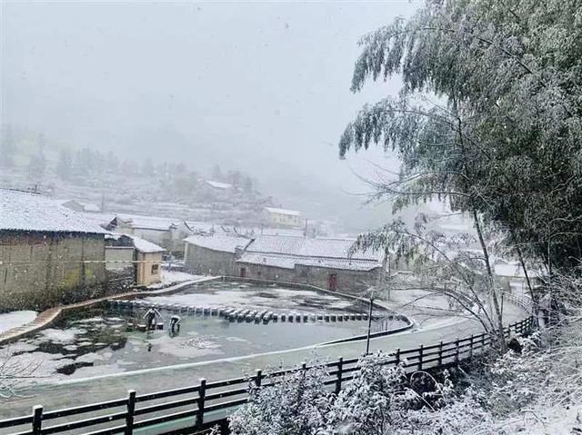 遂昌|丽水白云山下雪啦！龙泉、缙云、遂昌、松阳、云和传来雪景……