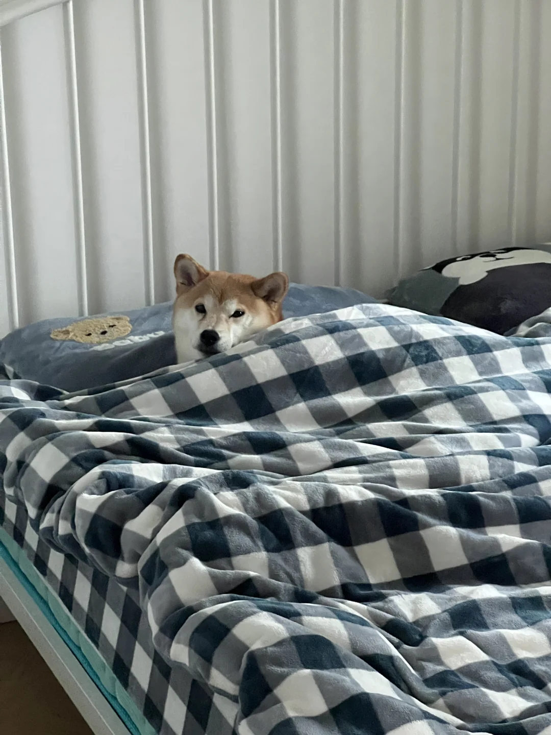 我是不是打扰到她了？
