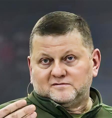 乌克兰前总司令扎卢日内最近放出警示：等俄乌冲突真的停下来，那110万退伍士兵，说